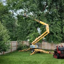 Best Grass Overseeding  in Waimalu, HI